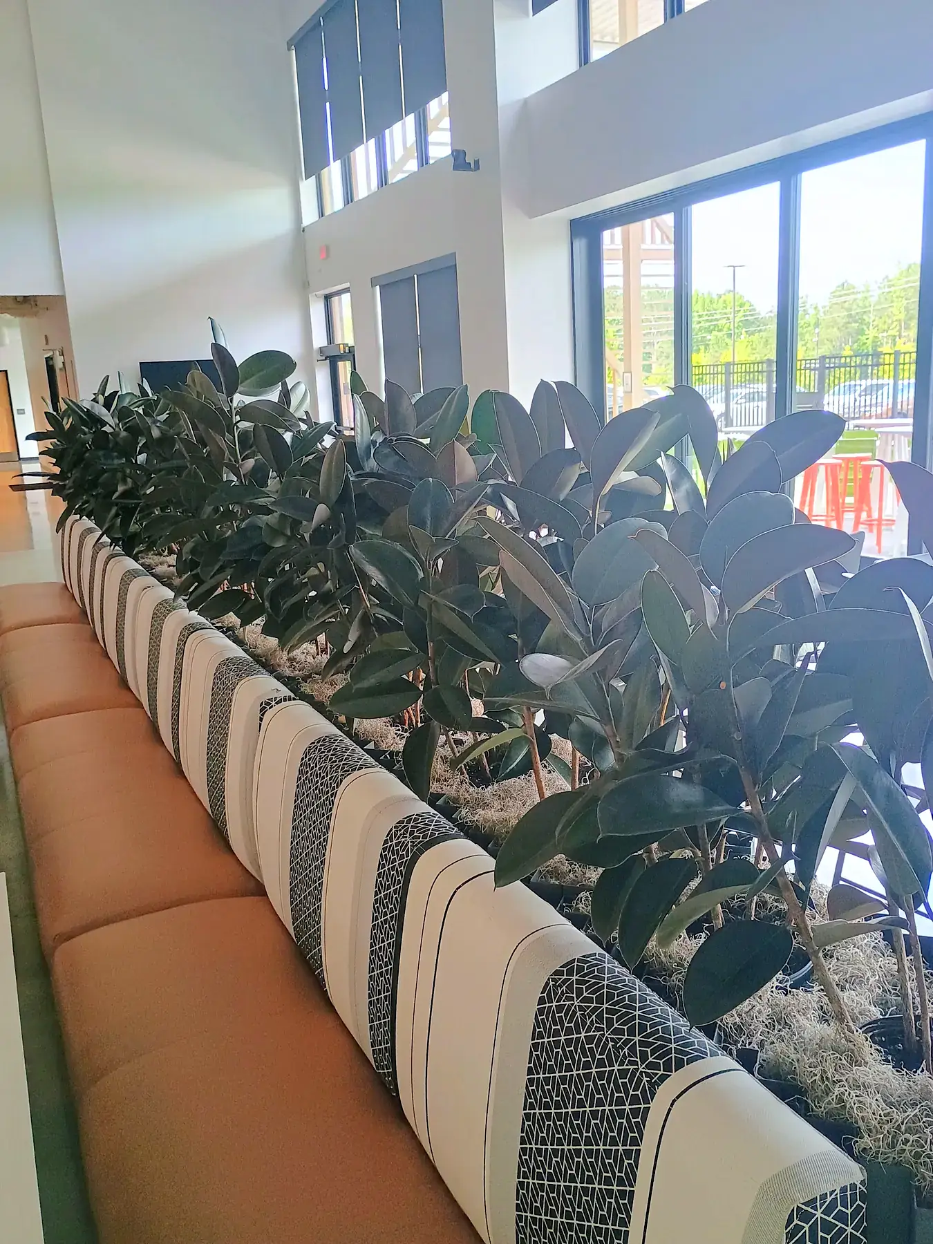 Rubber plant divider running behind striped banquette seating