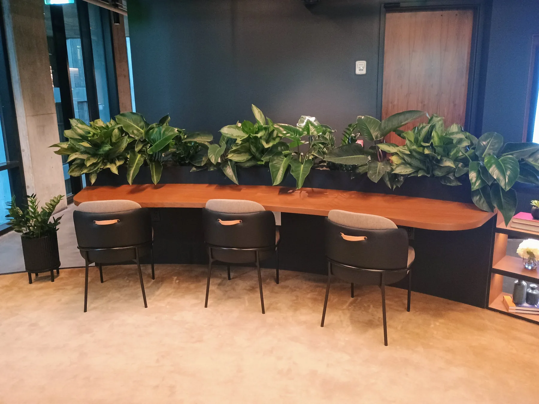 Long planter of aglaonema and philodendron above a wood bar counter with stools