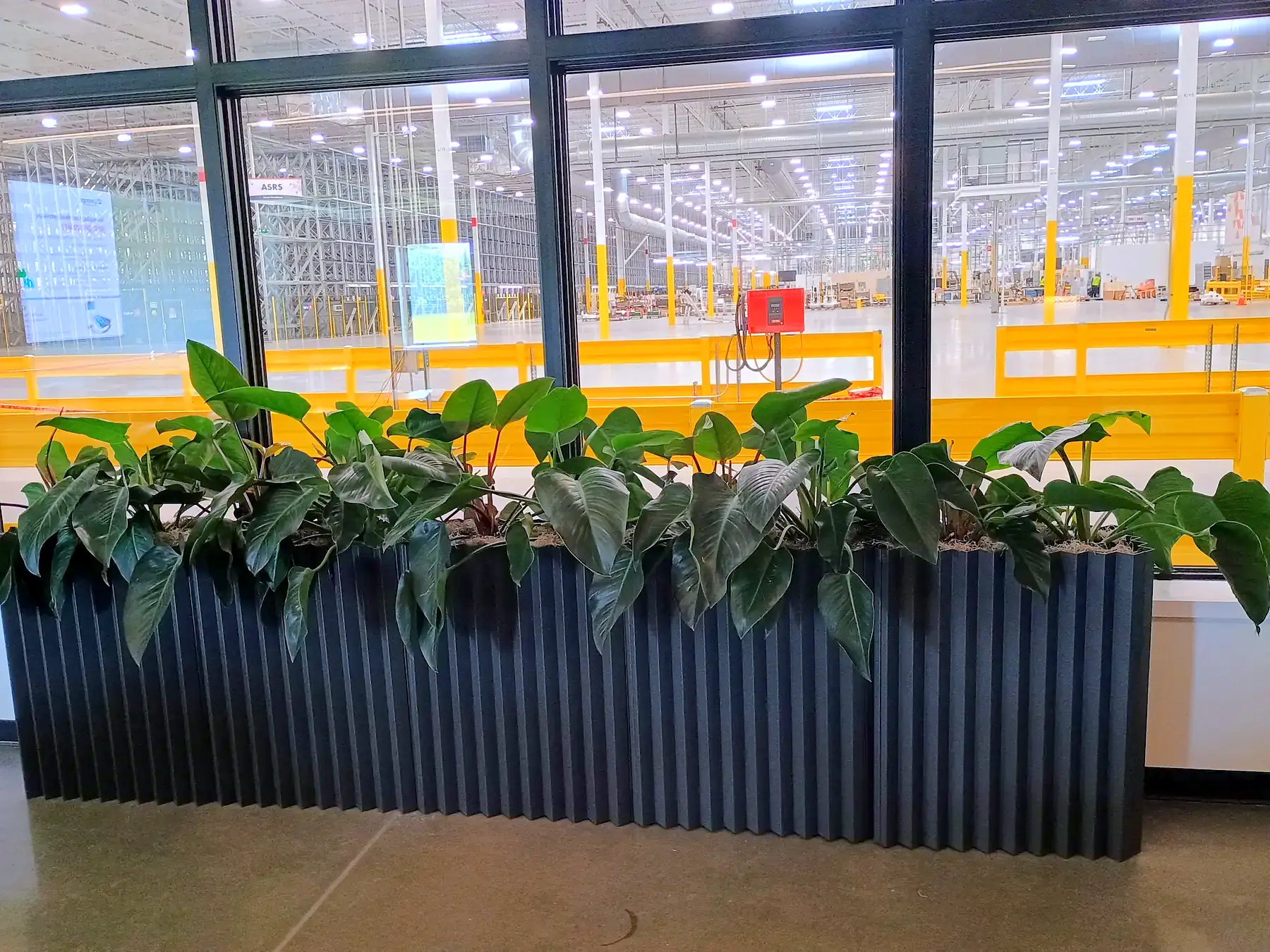 Philodendron in charcoal fluted planters along warehouse-office windows