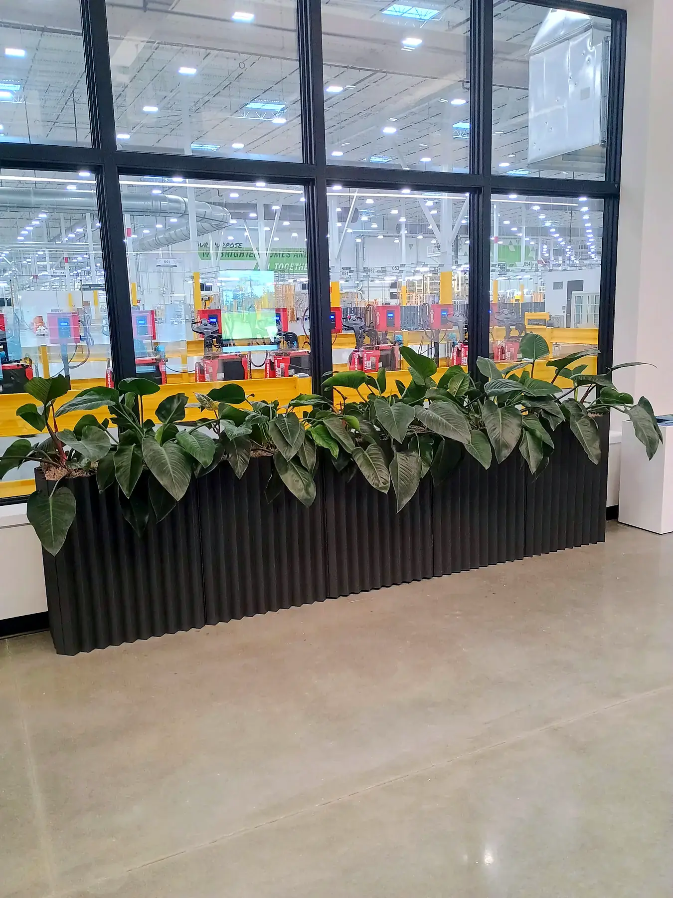 Philodendron planters along warehouse-office windows