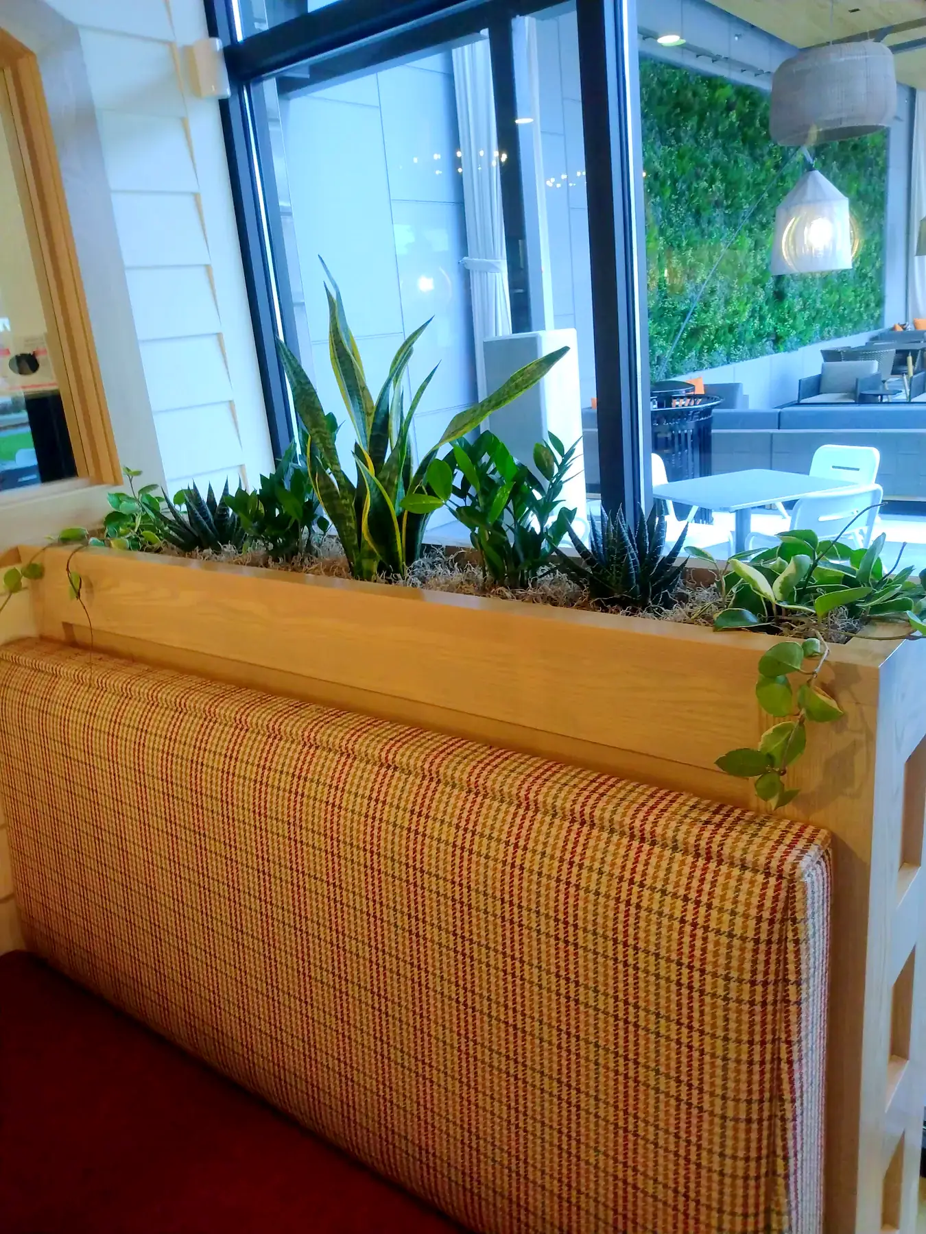 Wood planter box of snake plants and pothos above restaurant banquette seating